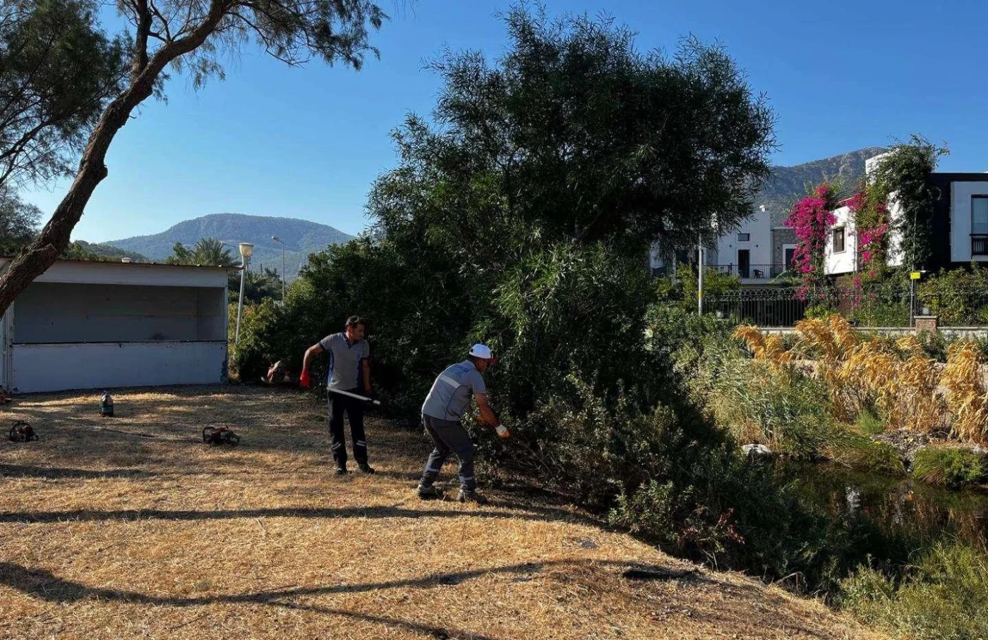 Bodrum’da 4 ayda 406 bin metrekare ot temizliği yapıldı