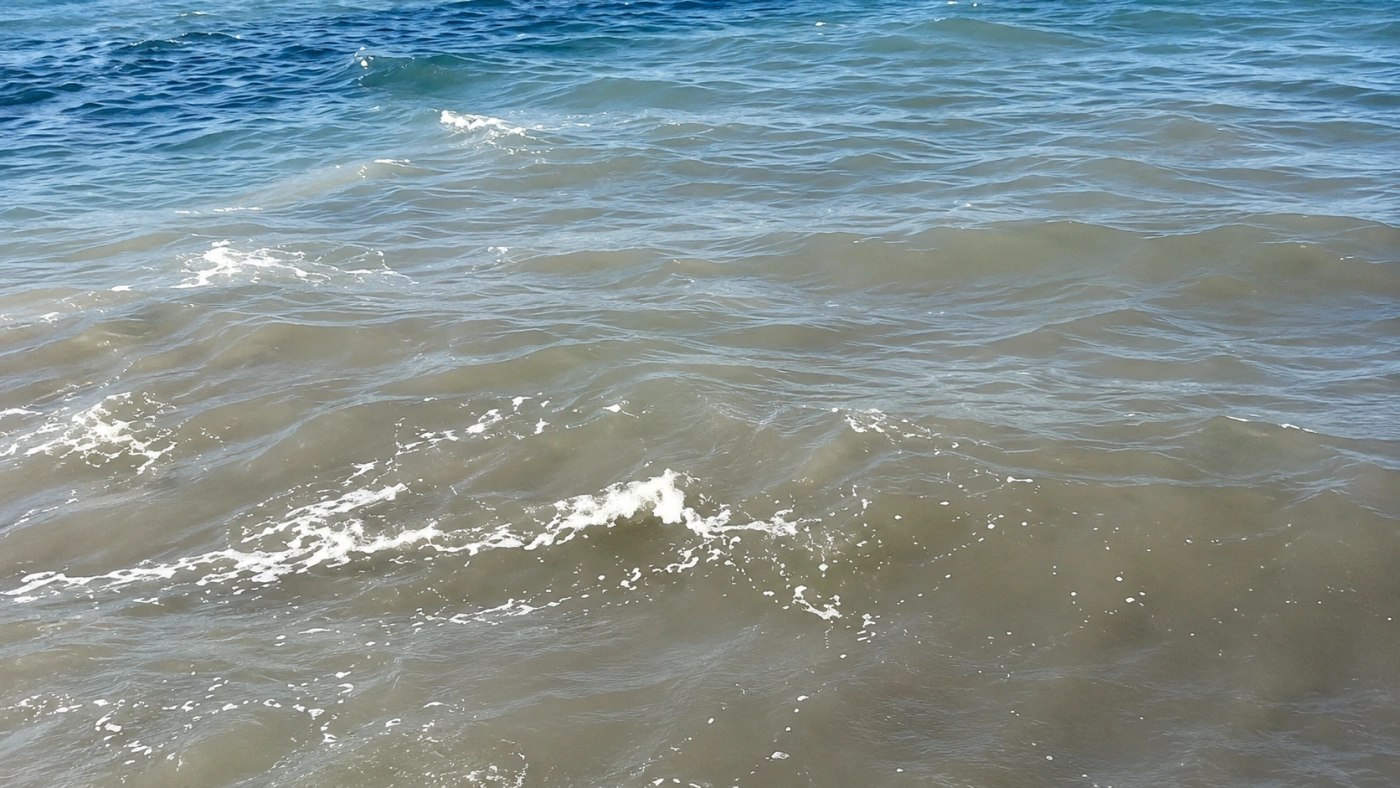 Bodrum'da Deniz Kirliliği Sonrası Soruşturma Başlatıldı