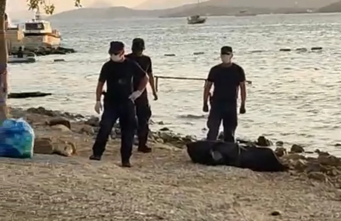 Bodrum’da denize giren 26 yaşındaki genç hayatını kaybetti