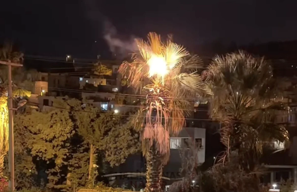 Bodrum'da elektrik tellerine temas eden ağaç alev aldı