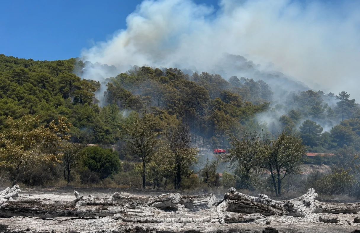 Göcek'te Orman Yangınına Havadan ve Karadan Yoğun Müdahale