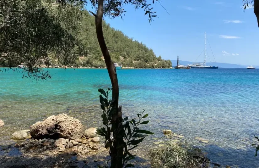 Türkiye’nin kıyılarında yeni dönem: Bakanlığın yetkisi genişledi