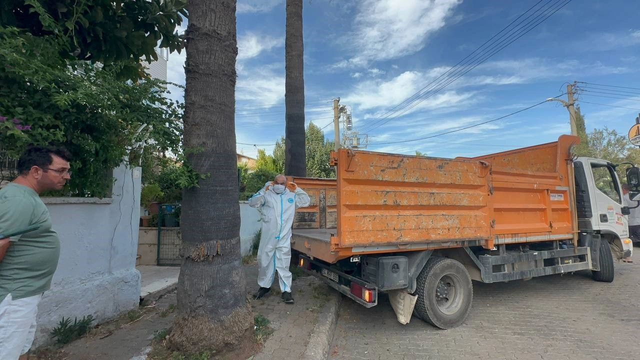Marmaris’teki evden bir kamyon çöp ve 30’a yakın kedi çıkarıldı