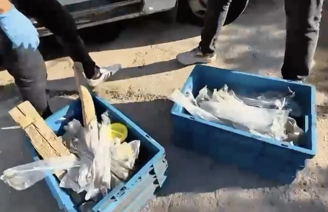 Milas’ta 2 kilo 14 gram kokain ele geçirildi: 1 kişi tutuklandı