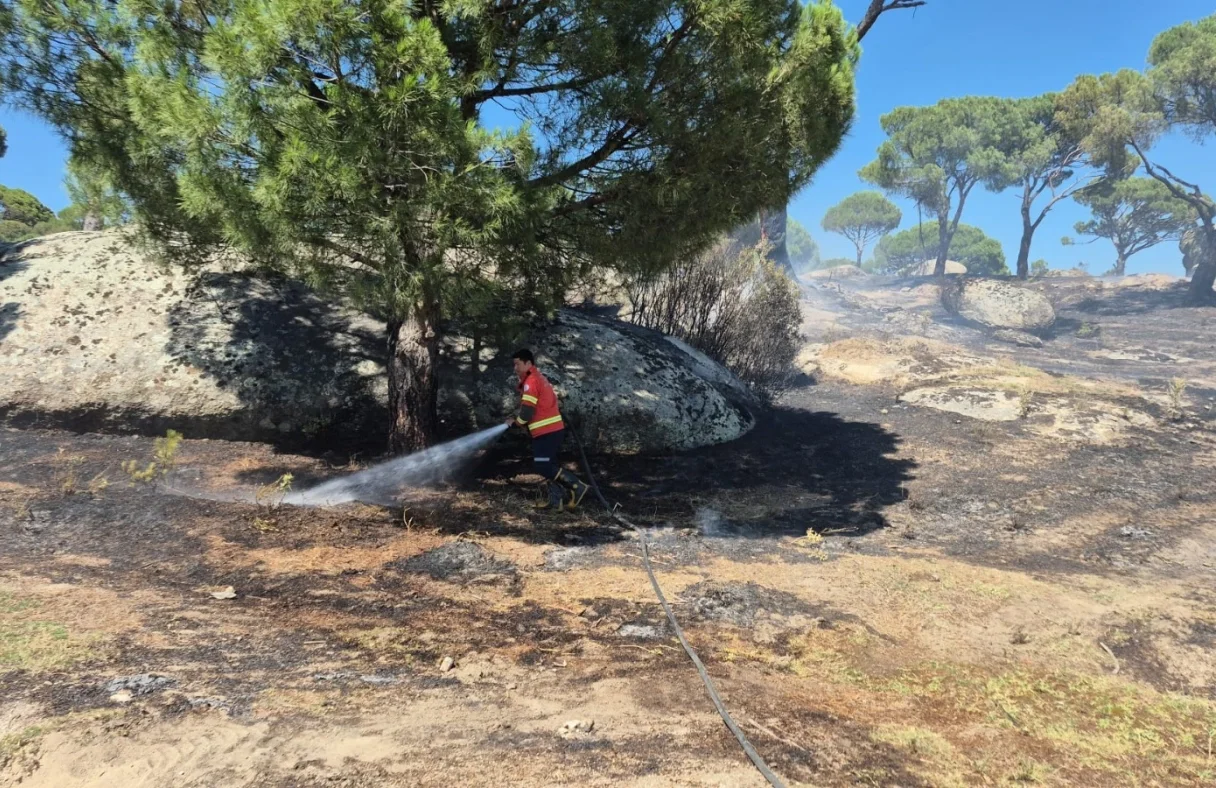 Muğla’da 3 yılda 3 bin 869 yangın: Yüzde 69’unda insan faktörü