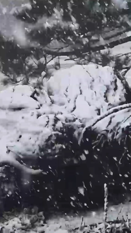 Muğla’da sezonun ilk kar yağışı görüldü