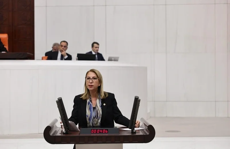 Süreyya Öneş Derici’den Orman Yangınları İçin Komisyon Çağrısı